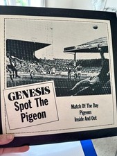Genesis spot pigeon for sale  BARNSLEY