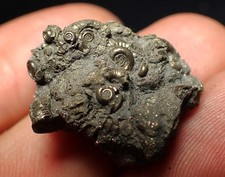 Full pyrite multi for sale  BRISTOL