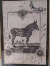 Gabriella zebra print for sale  Inkster
