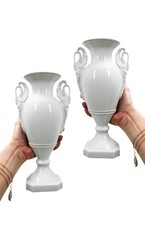 Paire vases vintage d'occasion  Saint-Loup-sur-Semouse