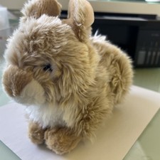 Hasen teddy 25x17 gebraucht kaufen  Bonn