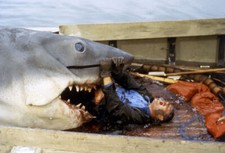 Jaws great white for sale  USA