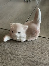 Adorable playful kitty for sale  North Providence