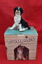 collie puppies for sale collie puppies for sale TELFORD