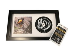 Usado, ANTHONY GREEN CIRCA SURVIVAL AUTÓGRAFO ASSINADO O AMULETO EMOLDURADO FOSCO CD JSA CERTIFICADO DE AUTENTICIDADE comprar usado  Enviando para Brazil