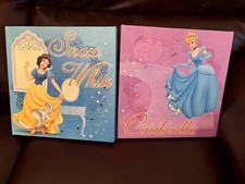 Disney princess 10x10 for sale  Martinsville