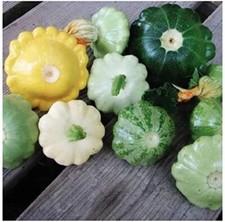 Mix white yellow for sale  Kennett Square