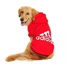Red adidog dog for sale  LONDON