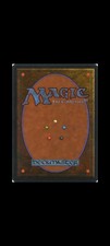 Cartes magic lot d'occasion  La Séguinière