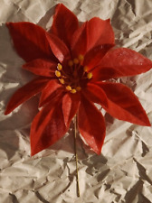 Red poinsettia flower for sale  Bath