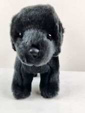 Douglas black lab for sale  Bulverde