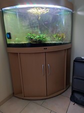 Braunes juwel eckaquarium gebraucht kaufen  Mietingen