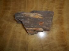 Fossile legno albero usato  Villa San Giovanni