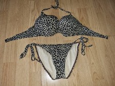 Gorgeous brown senza for sale  CONGLETON