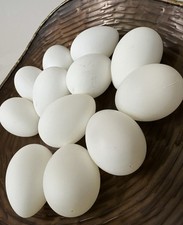 Dozen faux artificial for sale  Cloverdale