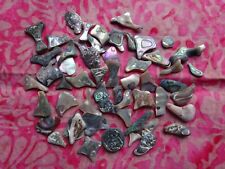 Small abalone shell for sale  AMLWCH