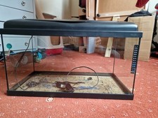 Fish tank aquarium for sale  NEWBURY
