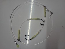 Deep drop tilefish for sale  Linden