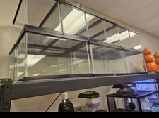 Gallon fish tank for sale  South Elgin