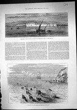 Old 1881 hammamet for sale  UK