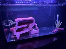Black glass glow for sale  Charlottesville