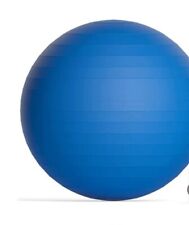 Gymnastikball 65cm blau gebraucht kaufen  Kirchdorf