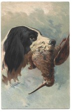 Antica cartolina animali usato  Savona