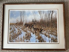 Michael sieve fast for sale  Minneapolis