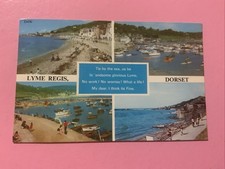 Lyme regis multi for sale  MIDHURST