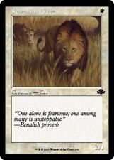Mtg savannah lions usato  Bari