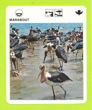livre marabout d'occasion livre marabout d'occasion Expédié en Belgium
