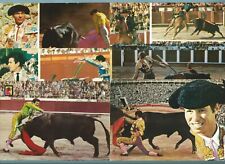 Corrida toreri lotto usato  Corsico