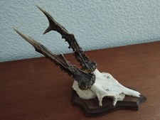 Beau trophee massacre d'occasion  France
