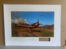 Fw190 fighter aviation for sale  HELENSBURGH