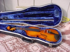 Glaesel violin case for sale  Howard
