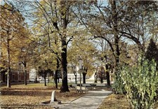Cartolina fiorenzuola arda usato  Milano