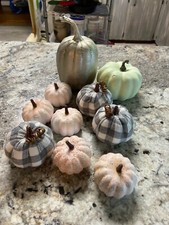 Fall harvest pumpkins for sale  Spartanburg
