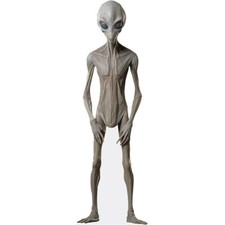 Alien pappaufsteller lebensgro gebraucht kaufen  Hannover