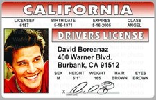 David boreanaz buffy for sale  Miami