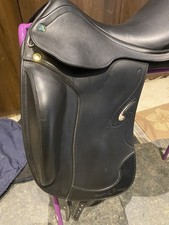 Prestigue passion dressage for sale  PETERBOROUGH
