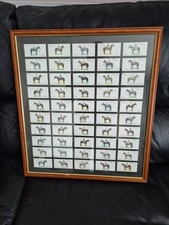 Framed horseracing players for sale  GILLINGHAM