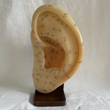 Pvc ear acupoint for sale  RADSTOCK