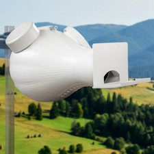 Axis purple martin for sale  Cincinnati