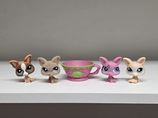 Lps chihuahua lot for sale  Greencastle