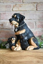 Large rottweiler dog for sale  SPALDING