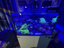 refugium sump for sale  Toledo