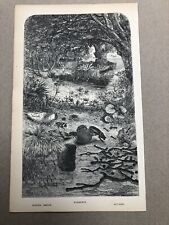 1866 original print for sale  FORDINGBRIDGE
