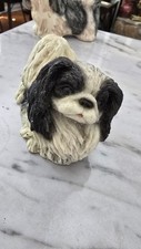 pekinese for sale pekinese for sale Mc Cormick