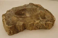 Bois fossile pétrifié d'occasion  Olonne-sur-Mer