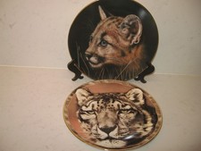 Wild cat plates for sale  WELLINGBOROUGH